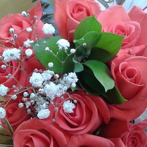 Meet your Posher, Roxane